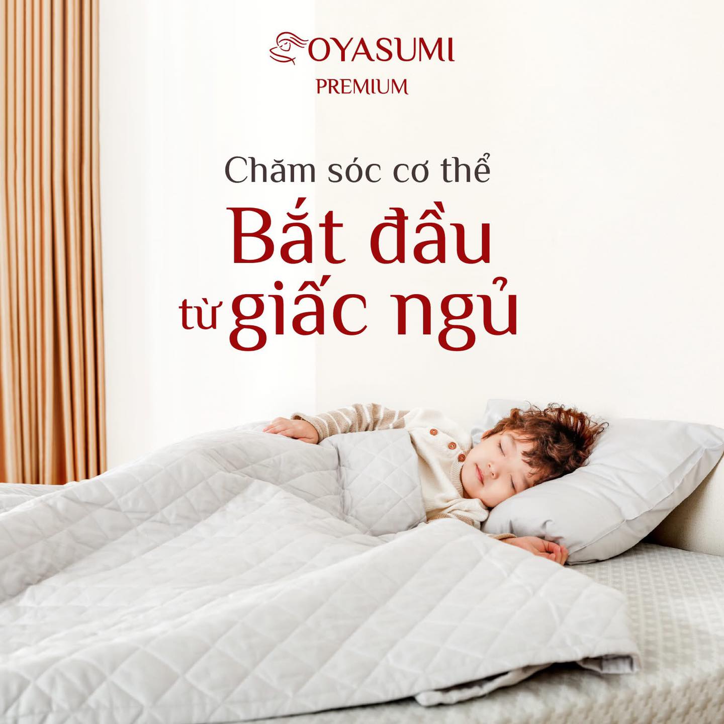 Nệm Bông Ép Trên 5 Triệu