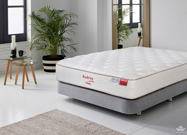 So Sánh Nệm Lò Xo Và Nệm Cao Su: Loại Nào Tốt Hơn Cho Người Đau Lưng?