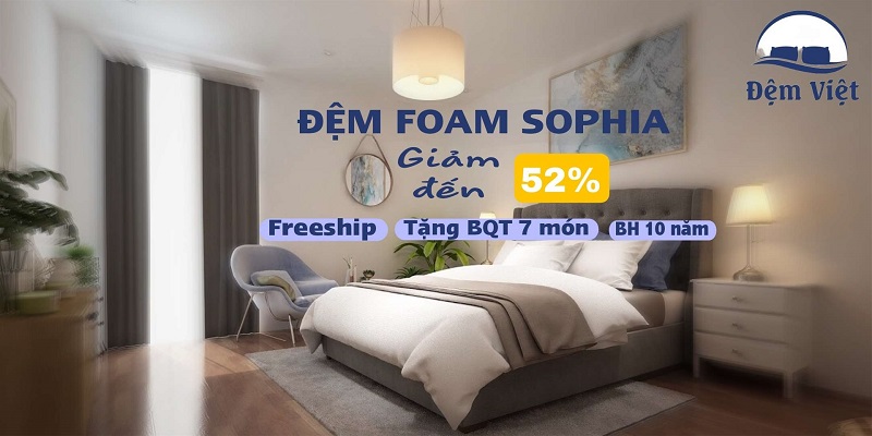 NÊN MUA NỆM LÒ XO HAY CAO SU? CHUYÊN GIA ĐỆM VIỆT GIẢI ĐÁP CHI TIẾT TỪ A-Z