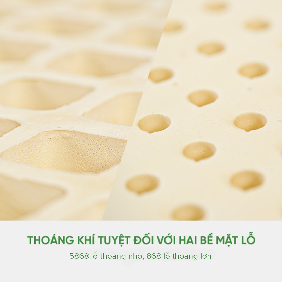 Quy Trình Sản Xuất Đệm Cao Su Tự Nhiên: Từ Cây Cao Su Đến Sản Phẩm Hoàn Thiện