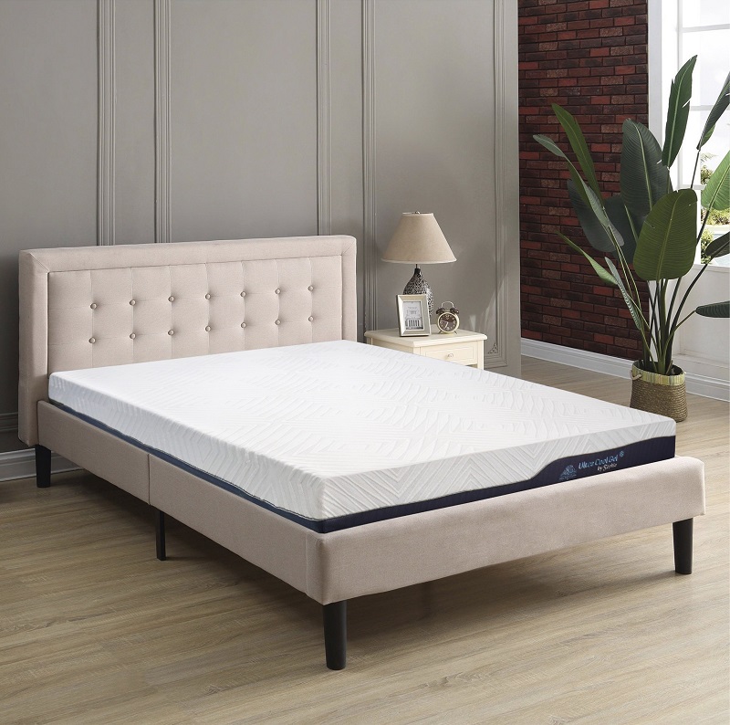 Top 10 Loại Nệm Cho Người Nặng Cân - Hướng Dẫn Chọn Đệm Chịu Tải Cao 2025