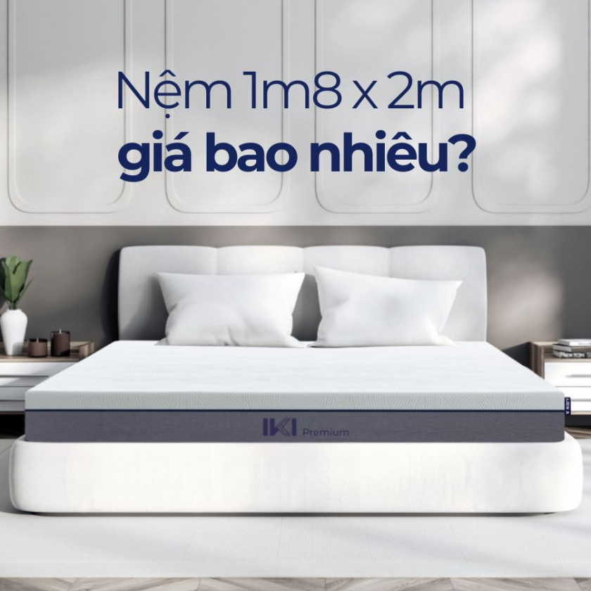 Báo giá nệm 1m8x2m (180x200cm) mới nhất 2025