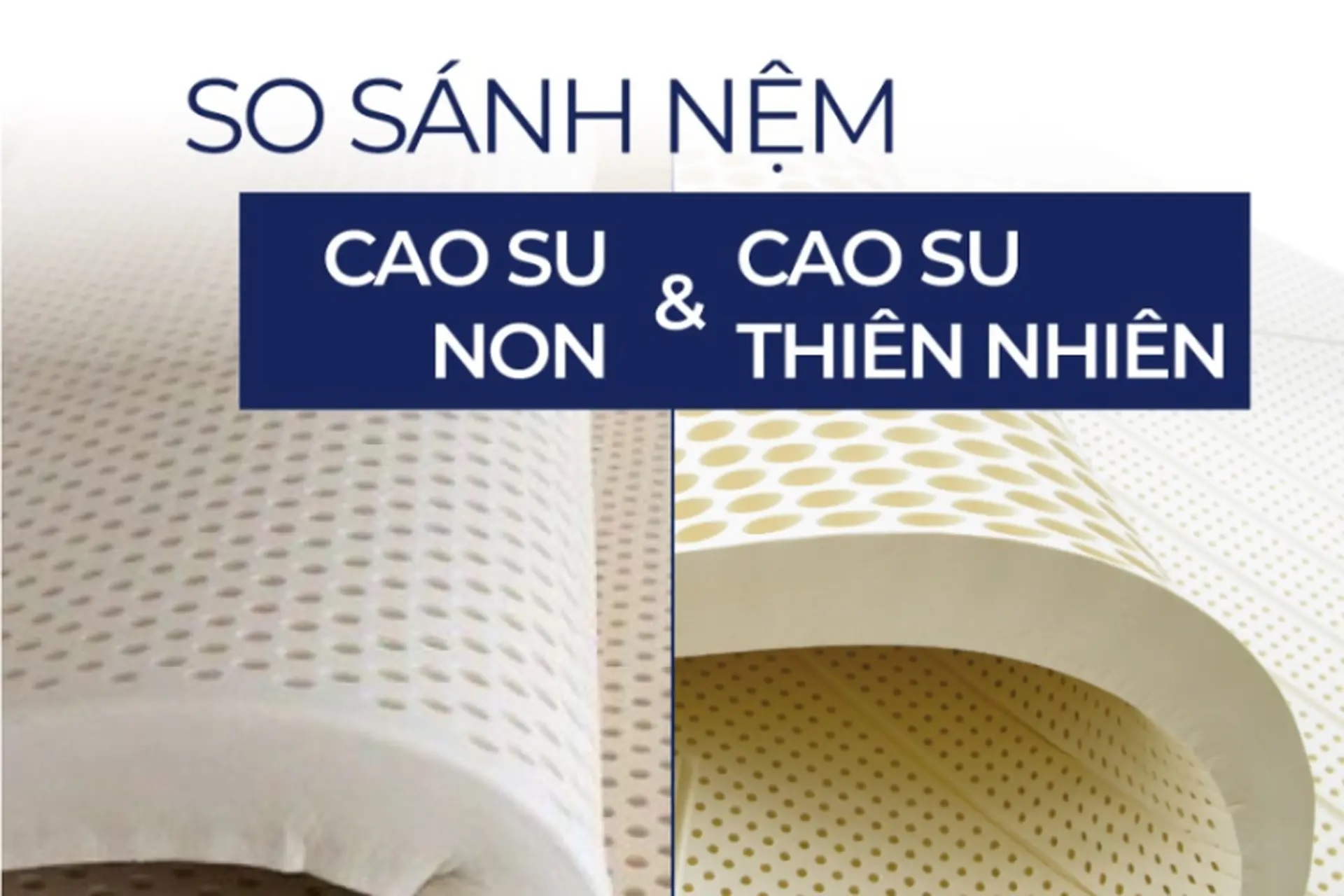 Đệm Cao Su Non Là Gì? Khác Gì Cao Su Tự Nhiên? - Tìm Hiểu Chi Tiết Cùng Đệm Việt