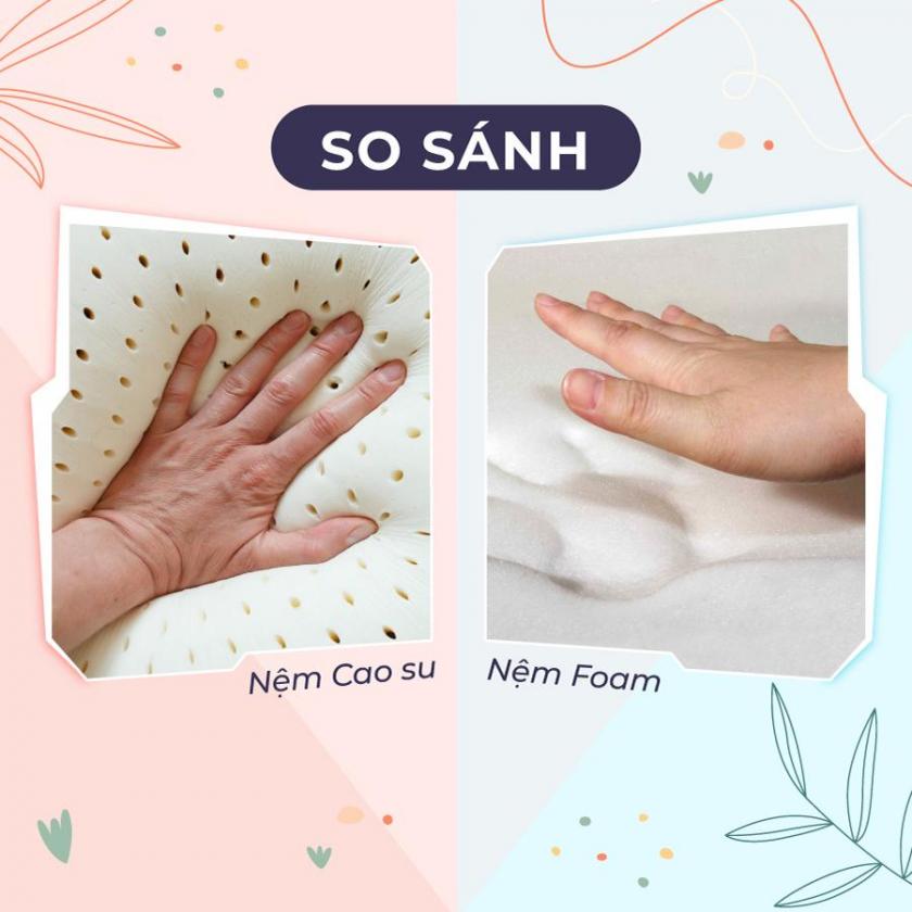 Nên Mua Nệm Foam Hay Cao Su? So Sánh Chi Tiết Giúp Bạn Chọn Đúng Loại Nệm